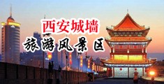 肉屄视频中国陕西-西安城墙旅游风景区